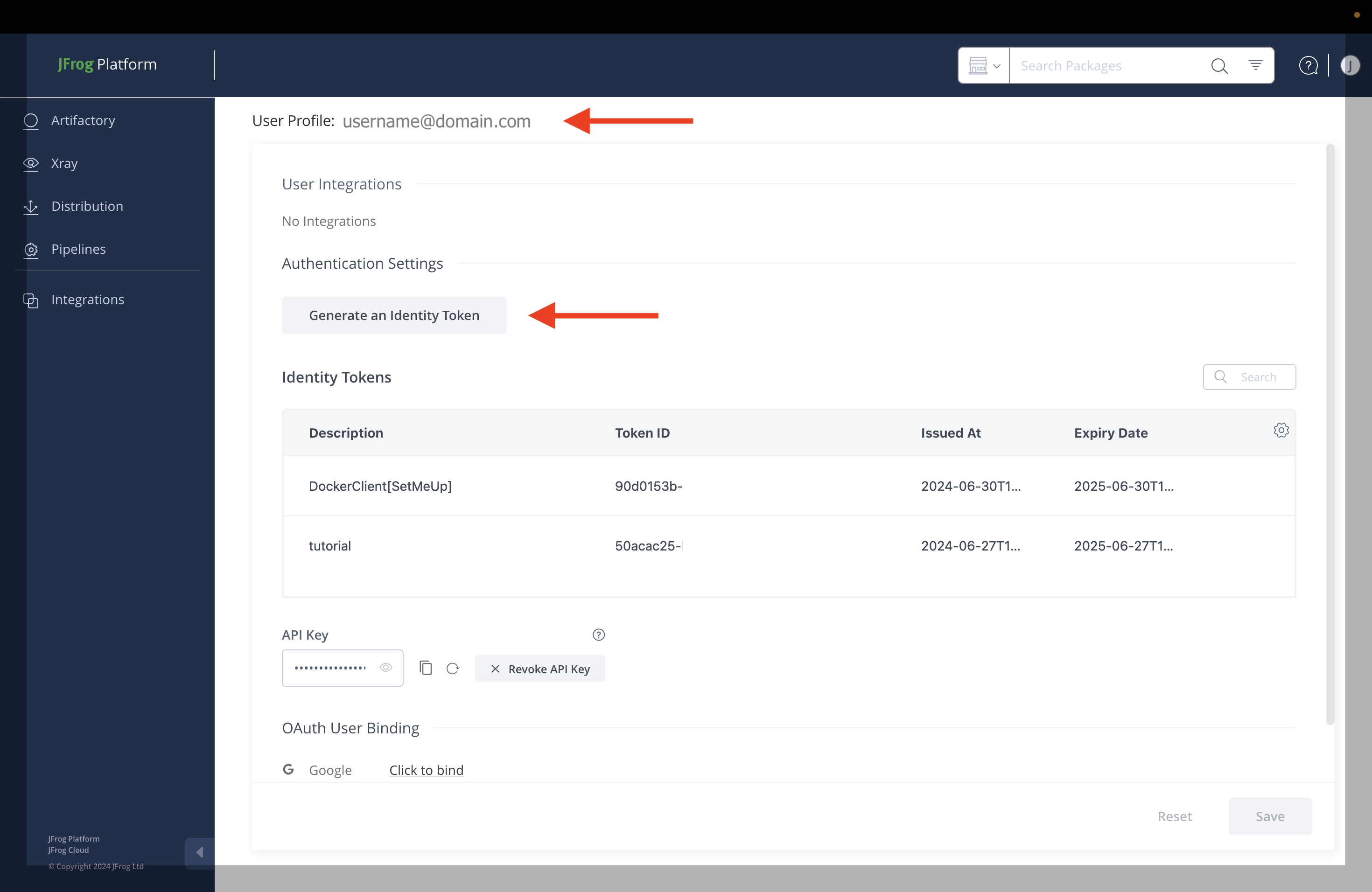 JFrog Profile dashboard